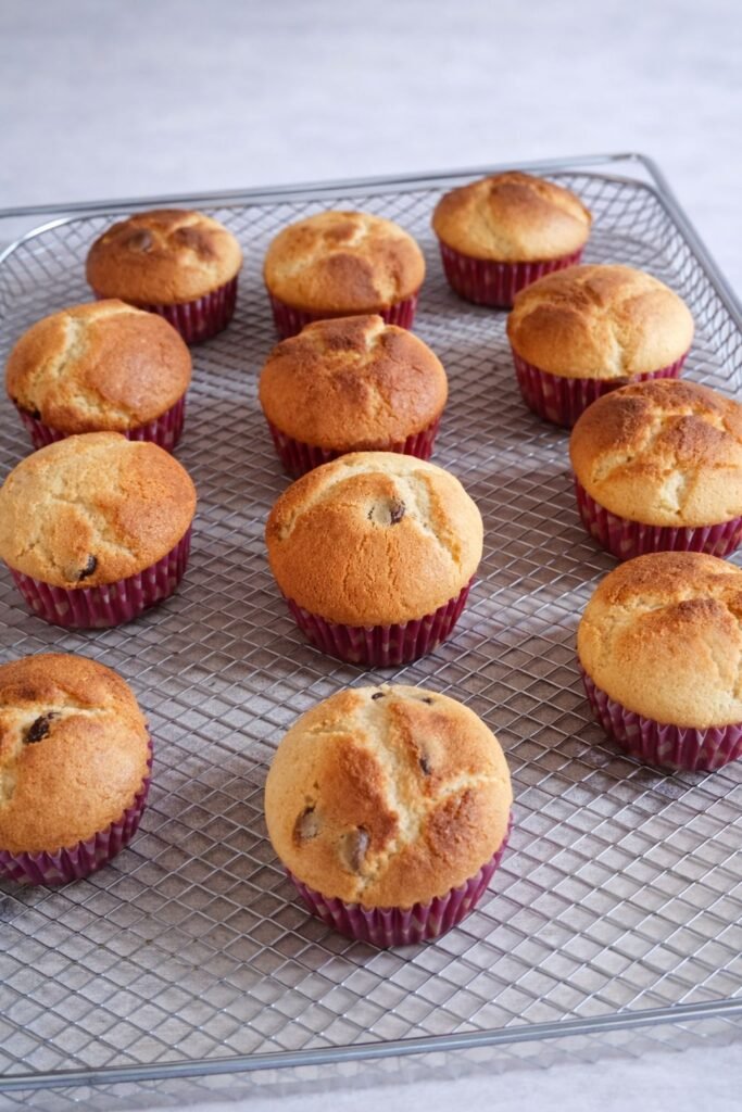 panque individual capacillo rojo en queretaro